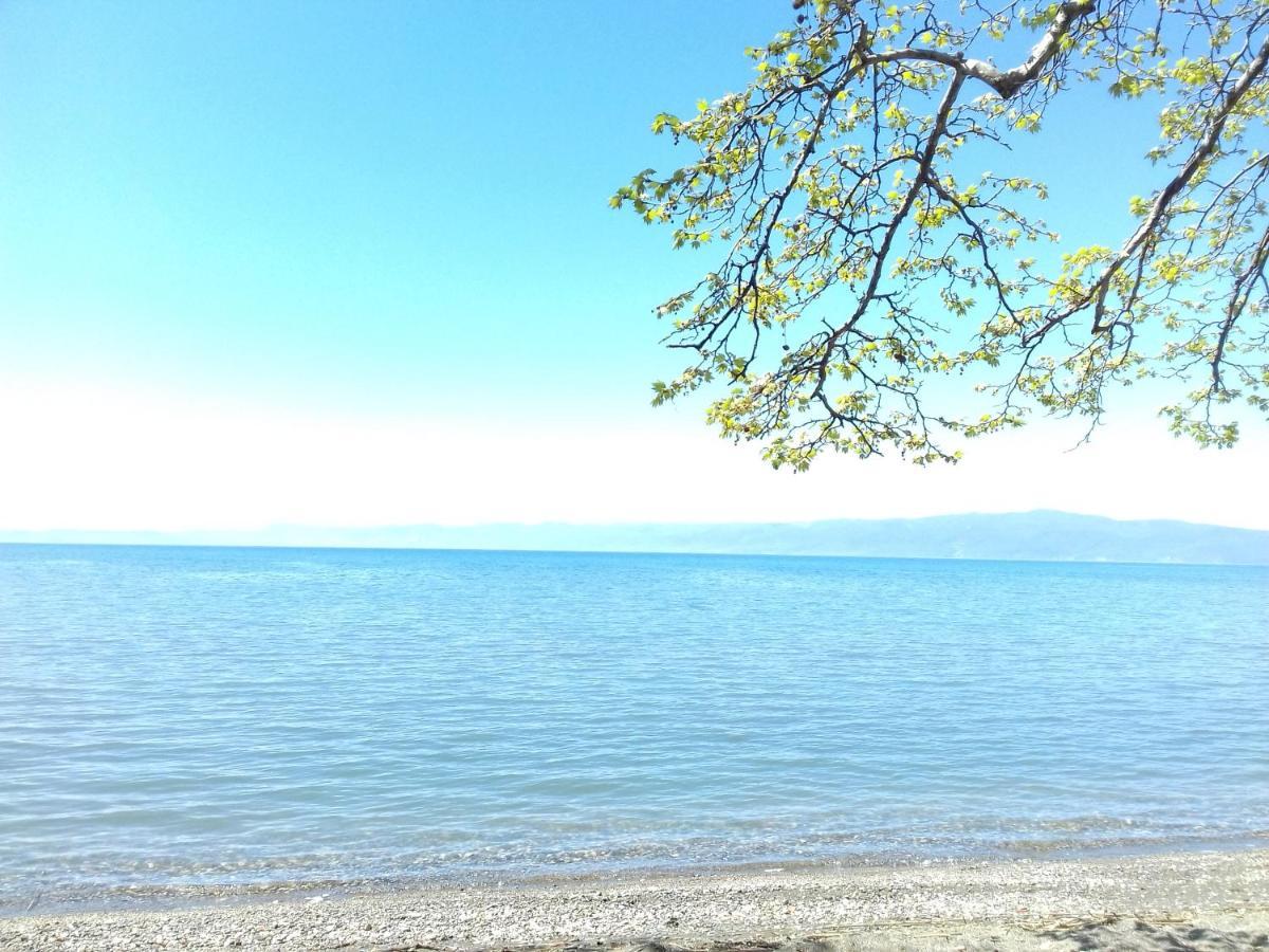 Apartment Biljana Ohrid Eksteriør bilde